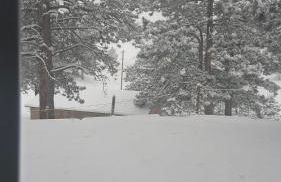 Cozy Rustic Retreat on a Horse Ranch with Stunning Pikes Peak Views and Serenity Minutes from Downtown Woodland Park - Foto 26