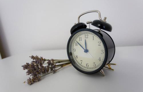 Kuća za odmor "Na Paltu" - Foto 18