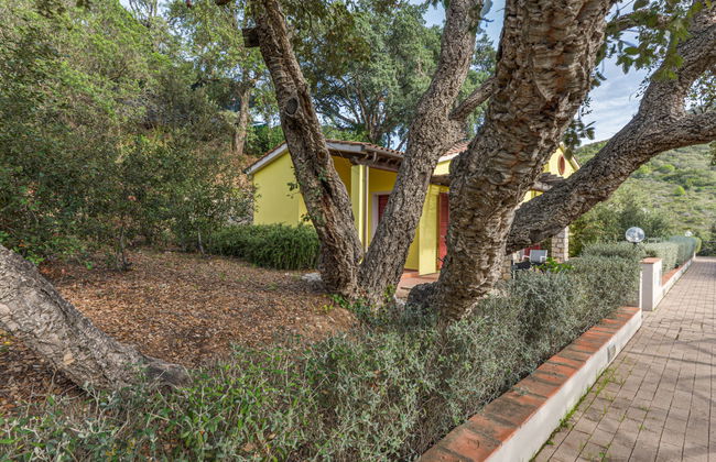 Mezzo Ortano - Photo 36