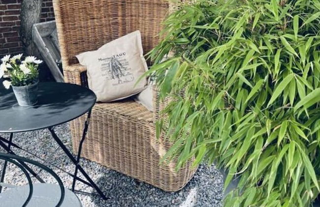 Liefde Voor de Schlei - Photo 30