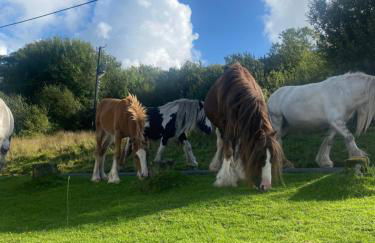 37 Gower holiday village Ty Seren Cosy 2 bedroom chalet with a seasonal indoor pool - Foto 22