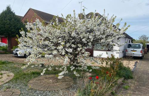 Bungalow-in-Badsey-north-of-Cotswolds - Foto 25