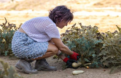 Akrotiri Estate Naxos - Private Hillside Estate - Foto 130