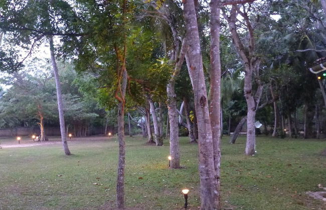 Dansala Cottage - Foto 15