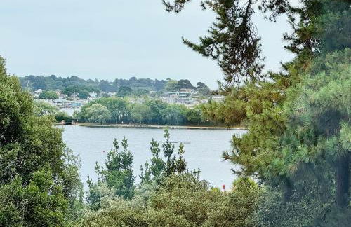 Beautiful 2 Bedroom Sea View - Free Onsite Parking - Photo 7