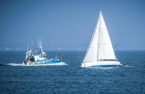 Séjour inoubliable Maison spacieuse & confortable - Foto 54