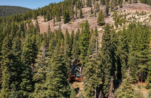 Honey Bear Cabin - Foto 38