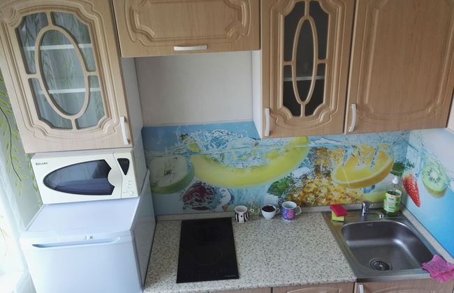 Apartments on Tolstogo 1 - Photo 38