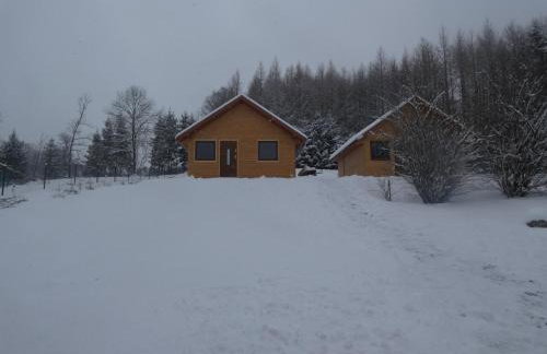 BIESZCZADZKA Antosiówka - Foto 40