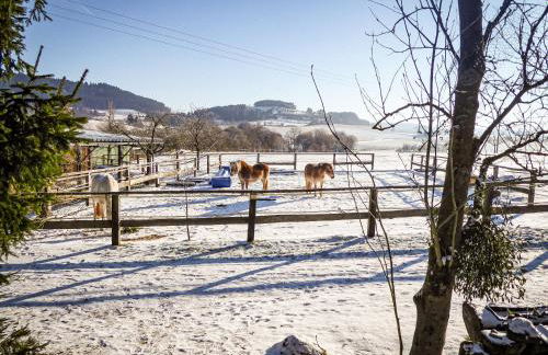Ferienwohnung Vor der Stephanskuppe - Foto 20