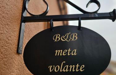 META VOLANTE - Foto 1