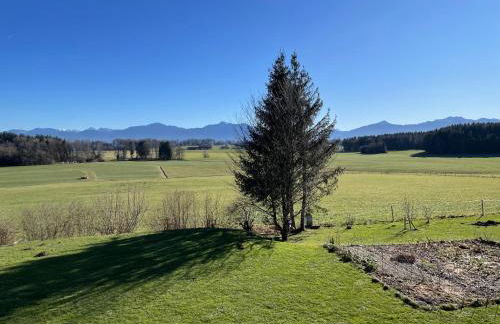 Fembacher Alm - Photo 8