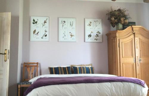 agroturystyka Orzechowe Wzgórze - Foto 47