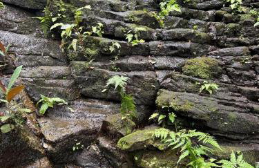 Sitio Águia Beija - Flor - Foto 7