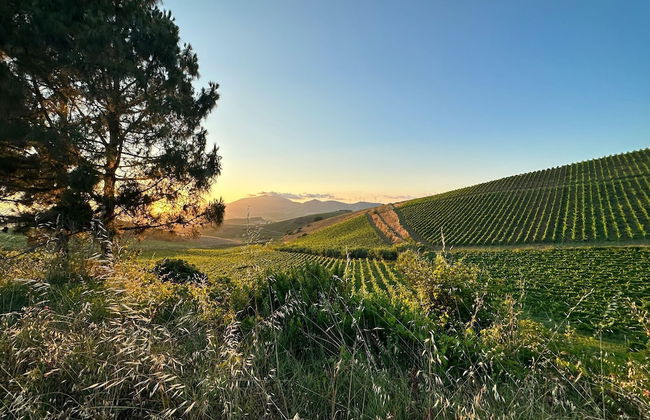 Agriturismo Tarantola - Foto 48