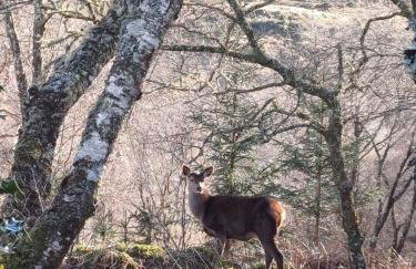 Cosy Holiday Home Acharacle Sleeps 6 - Photo 24