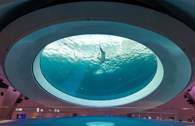 Tropical House Pool Table Jacuzzi Nearby Beach - Foto 44