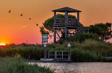 Alloggio turistico a Ravenna - Foto 29