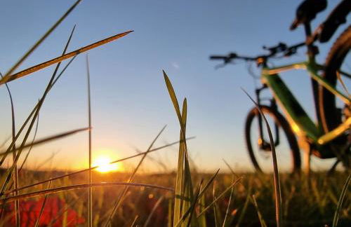 Ochsenkopf-apartment - Foto 8