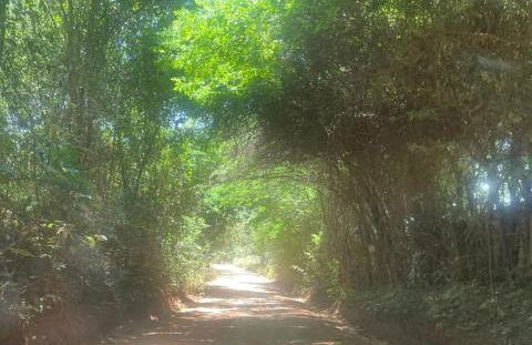 Casa de Campo Morada do Lago após Lagoa Santa - Foto 8