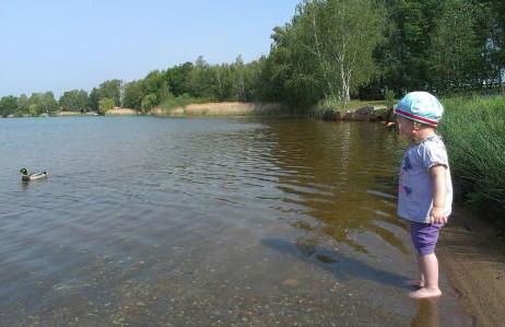 Ferienhof Olbasee - Foto 34