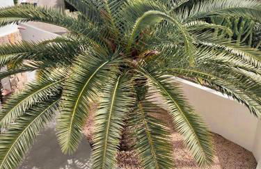 Perla Blanca by Sun & Sea Homes - Foto 28