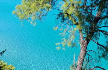 Tivoli Palms - Foto 46