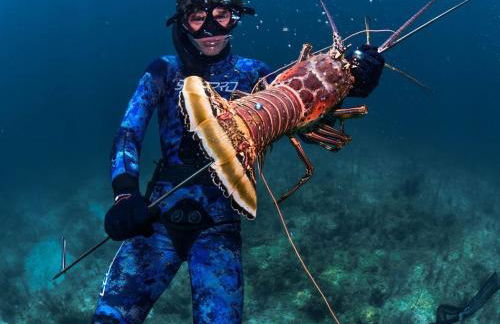 The Beach on Longboat Key - Foto 51