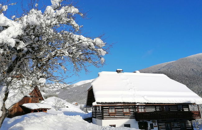 Holiday Home in Bad Kleinkirchheim - Photo 43