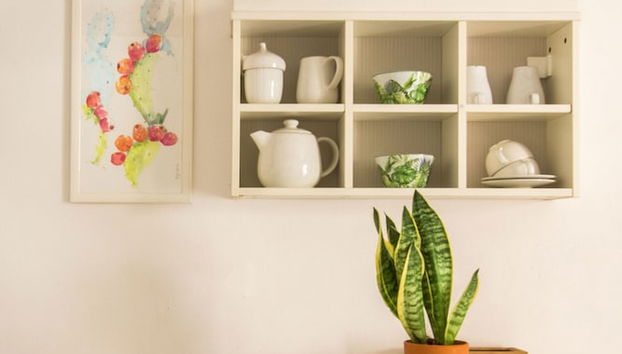 Servicio de comidas en la habitación