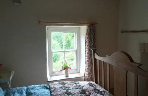 Rhandirmwyn - Cottage - Sleeps 4 - Pet Friendly - Foto 33