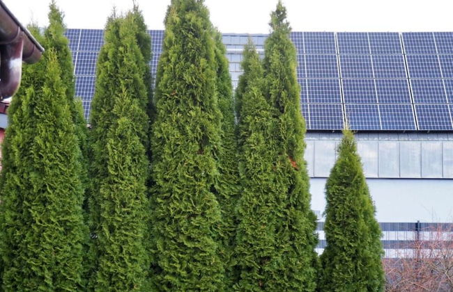 Apartment Captain's Terrace - Foto 14