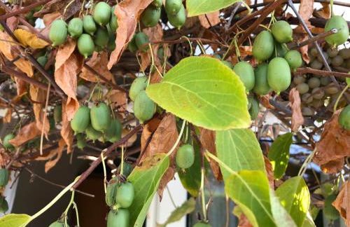 Bel Art Etage mit großem Parkplatz - Foto 37