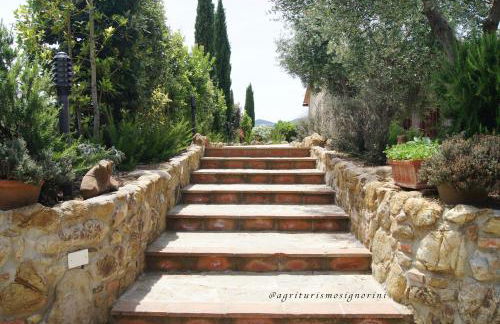 Agriturismo Signorini - Foto 52