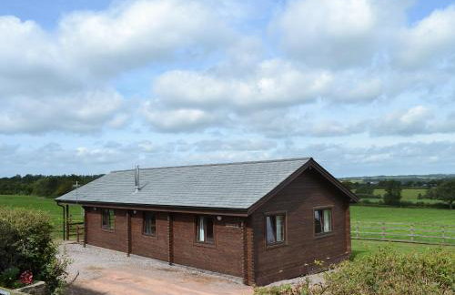 Dartmoor - Uk12537 - Foto 1