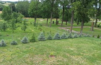 Agroturystyka Pokój na Skarpie - Foto 19