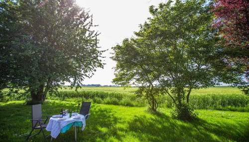 Polderhaus Deichblick direkt am Dullart - Foto 5, Garden