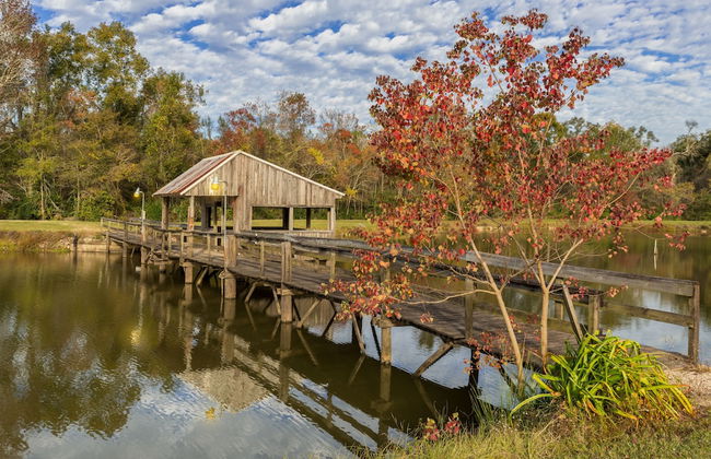 Maison D'Memoire Bed & Breakfast Cottages - Foto 48