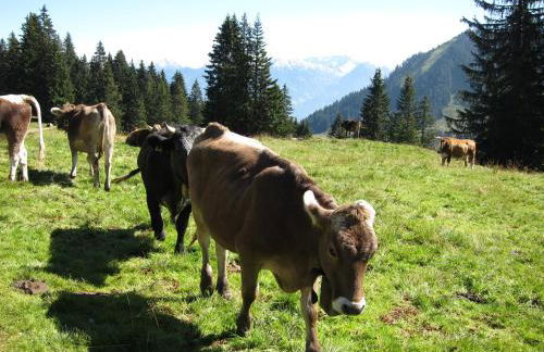 Landhaus Vogler - Foto 20