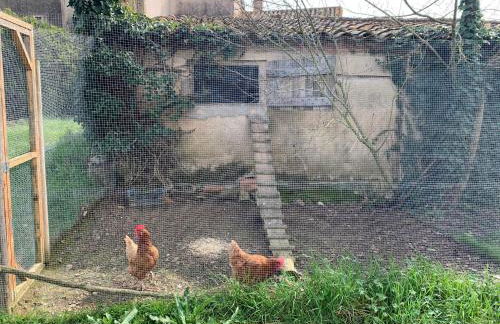 Can Carreras - Foto 49