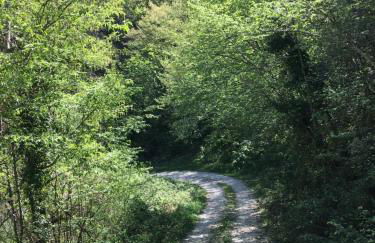 Il Tripode - Le Dimore del Bordone - Foto 41