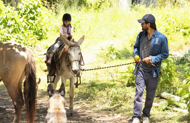 Rancho con Caballos El Reencuentro - Foto 61