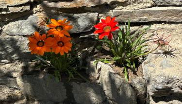 Casa Vacanze Roncaiola - Foto 2, Garden