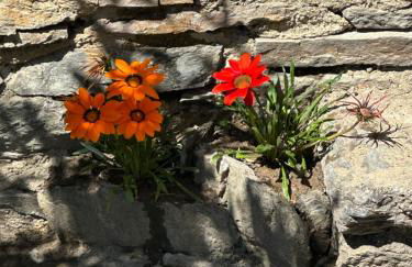 Casa Vacanze Roncaiola - Foto 2