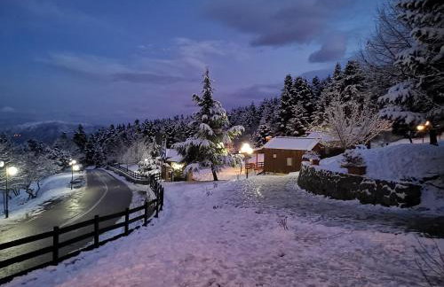 Livadaki Village - Δασικό Χωριό Λιβαδάκι - Foto 6