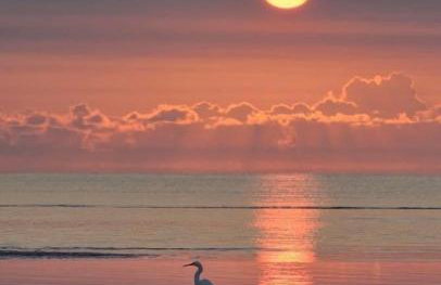 AGENCE JF IMMO-T2 climatise 4 pers avec terrasse vue campagne piscine et parking V0773 - Foto 38