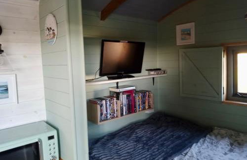 Fry’s Carriage - Foto 5