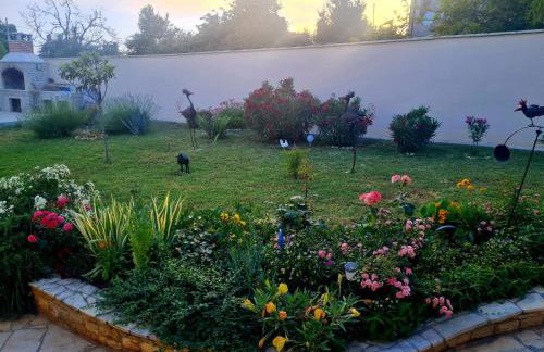 Apartman Boro - Foto 4