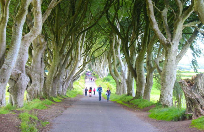 Visite des décors de Game of Thrones + Chaussée des Géants - Photo 1