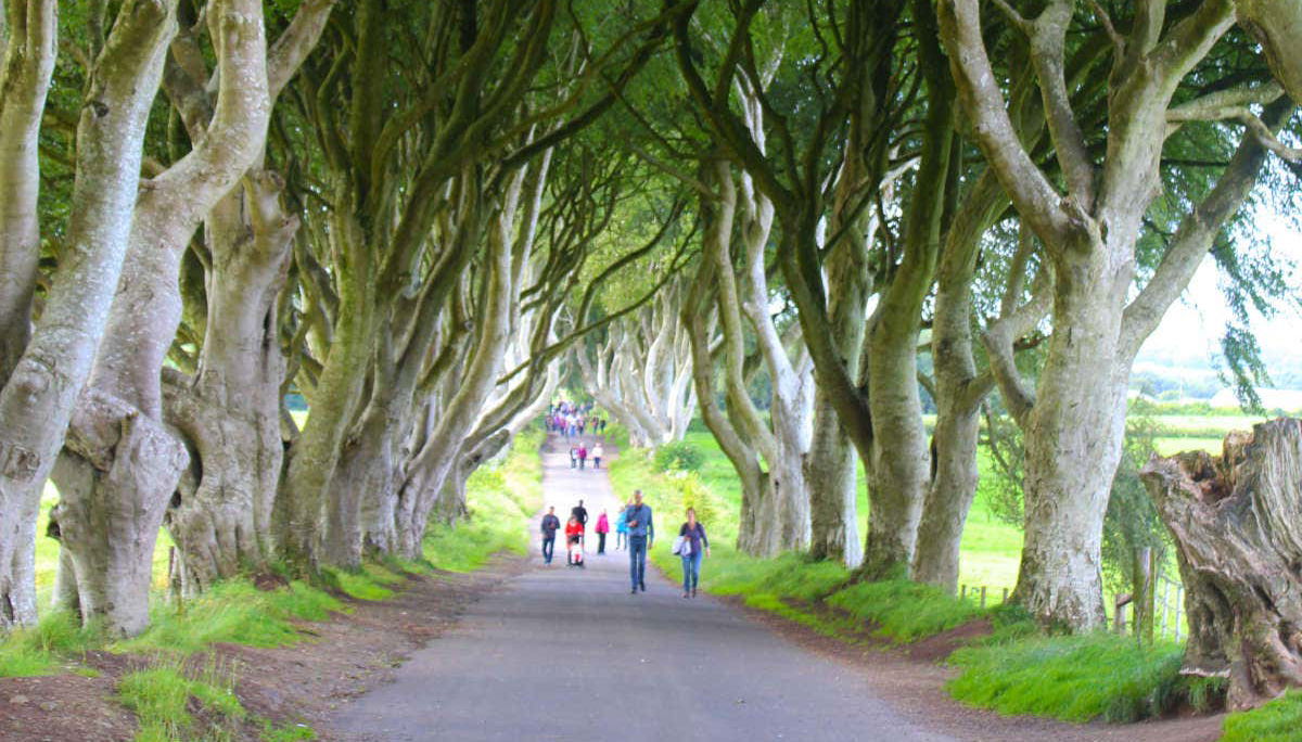 Game of Thrones & Giant's Causeway Tour - Foto 1